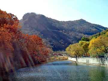 新澳天天开奖资料大全旅游团，穿越之我是带土